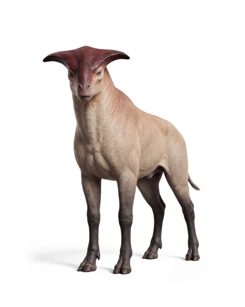 Orro