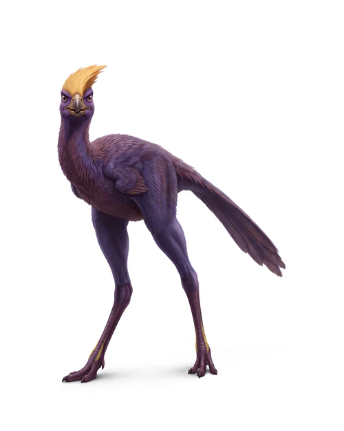 Fenn