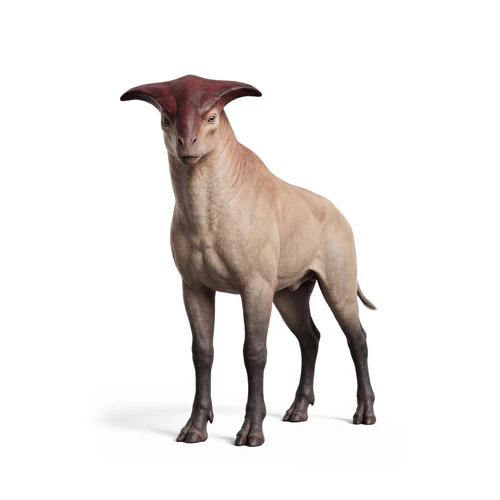 Orro